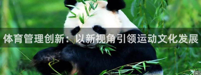 必一体育app官方网