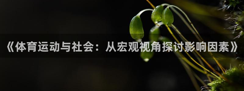 必一运动体育app：