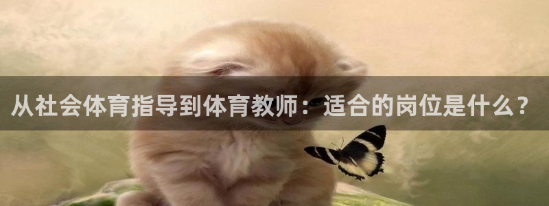 必一体育游戏玩法：从
