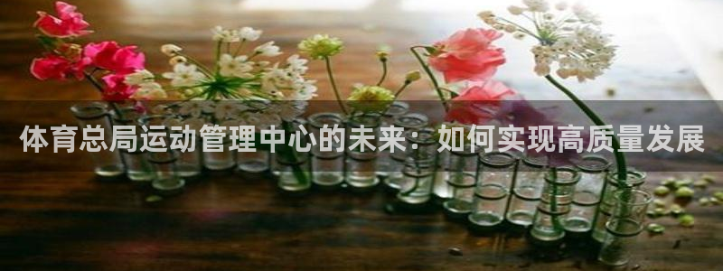必一体育APP：体育