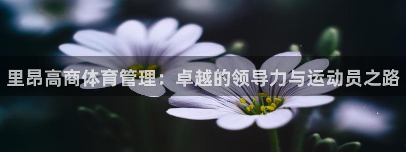 必一体育运动app：