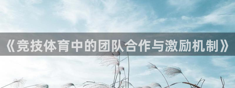 必一体育登录：《竞技