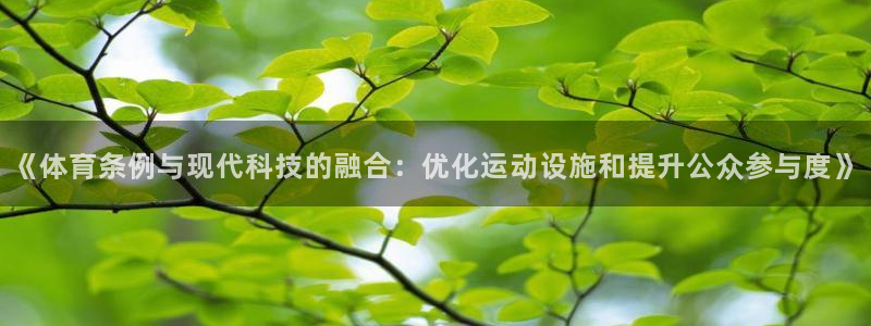 必一体育游戏特色：《