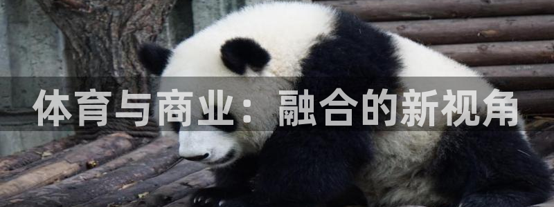 必一体育服下载最新版