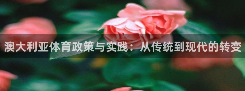 必一运动体育官网下载