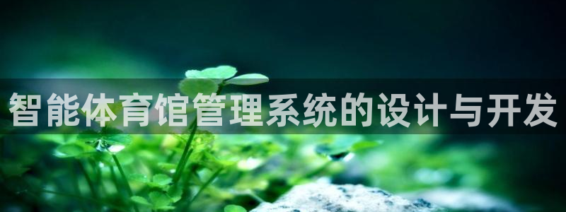必十二和必一的副作用