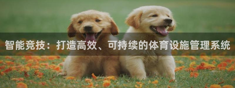 必一运动·(B-Sp