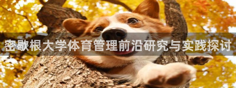 必一体育怎么下载：密
