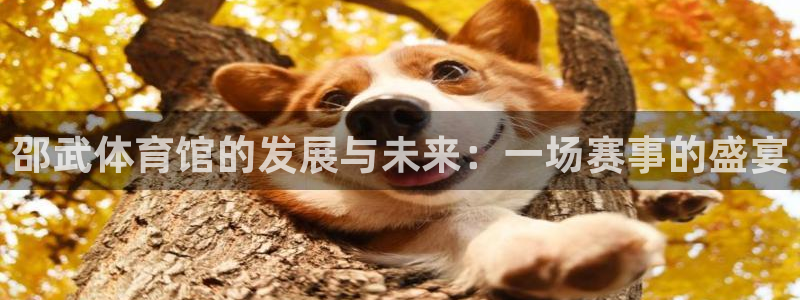 必一运动短信：邵武体