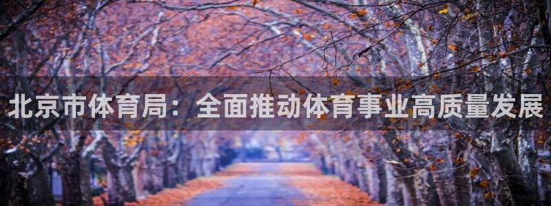 必一运动体育官网下载