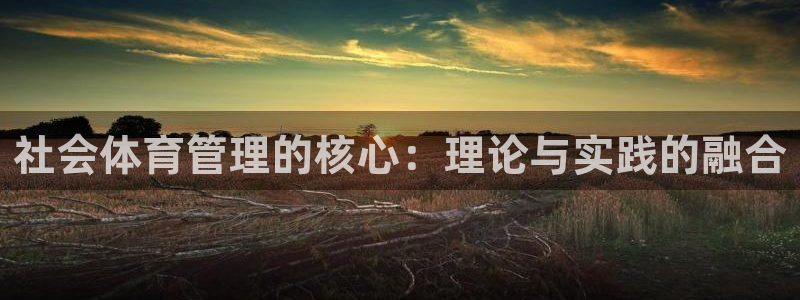 必一体育sport网