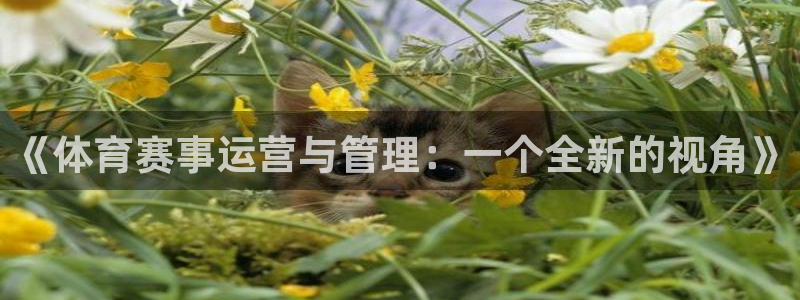 必一运动体育官网：《