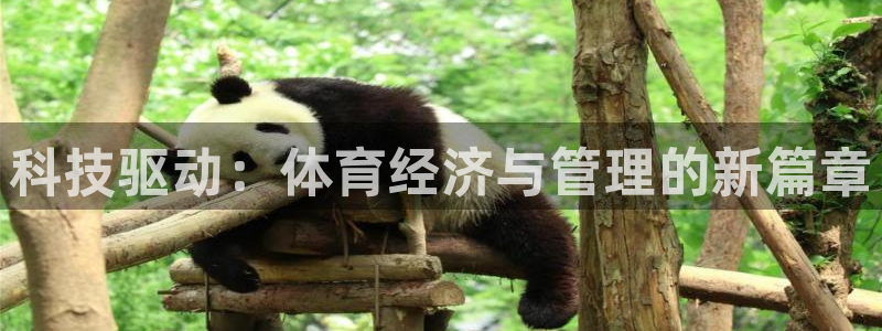 必一体育官网ios下