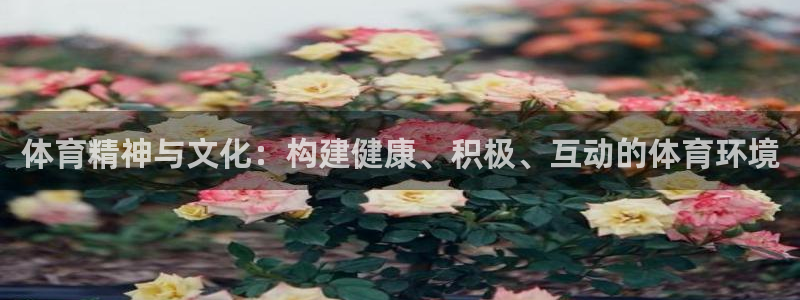 必一体育运动app：