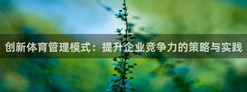 必一体育sport装