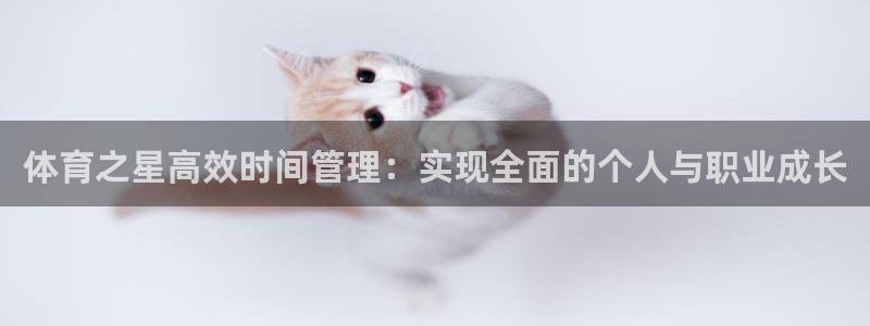 必一体育官方下载入口