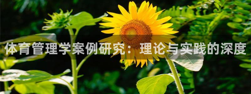 必一体育运动app下