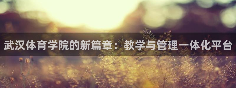 必一体育下载app：