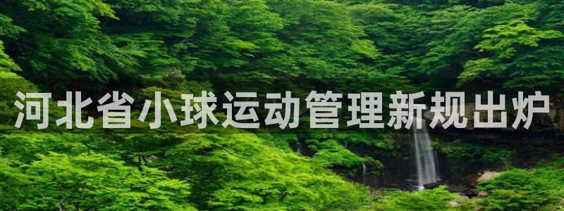 必一体育运动官网