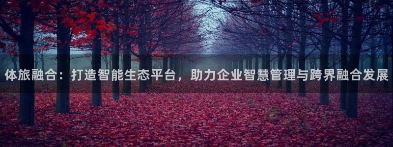 必一体育app官方正