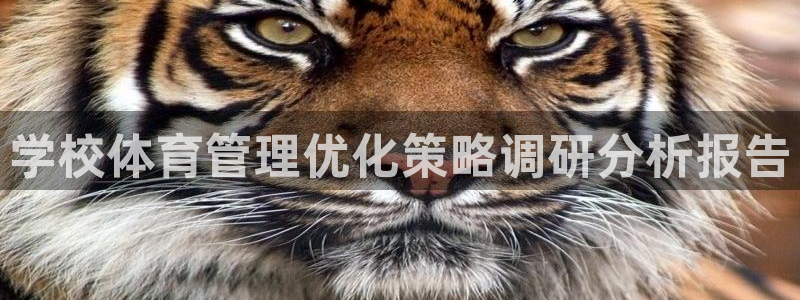 必一运动 b 体育素描版