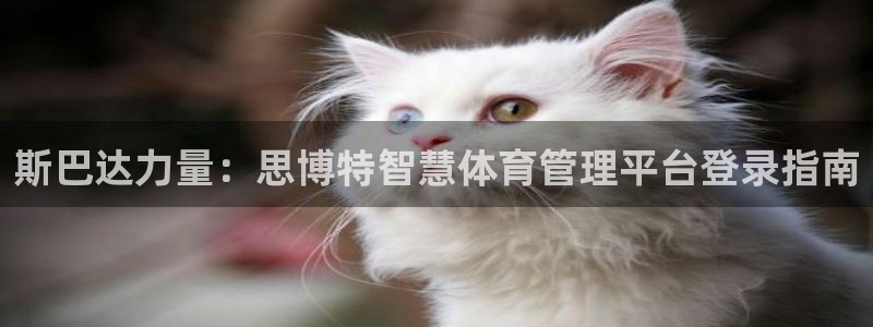 必一体育下载秀给网