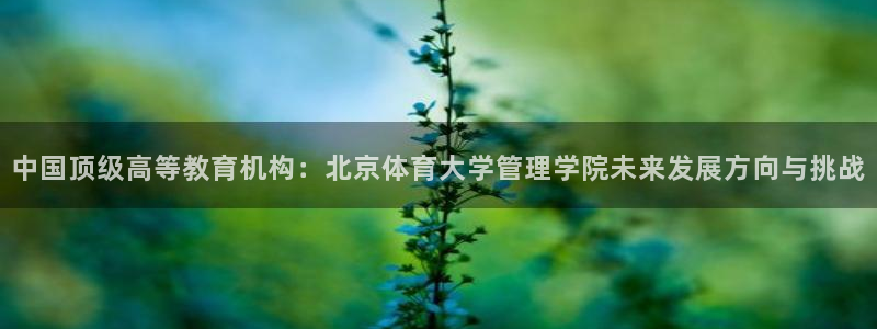 必一体育怎么下载：中