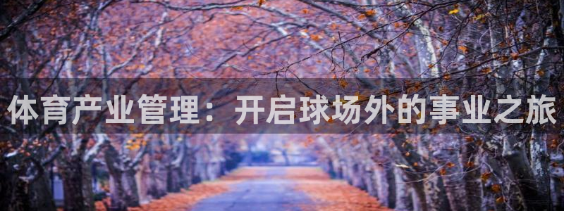 必一体育怎么下载