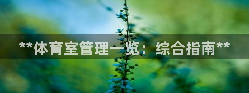 必一体育下载app