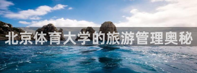 必一体育服下载最新版