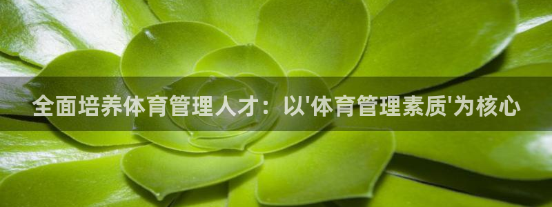必一体育官网入口：全面培养体育管理人才：以\'体育管理素质\
