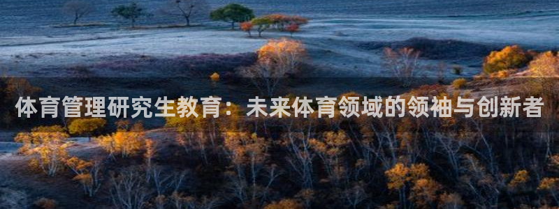 必一体育app官方网