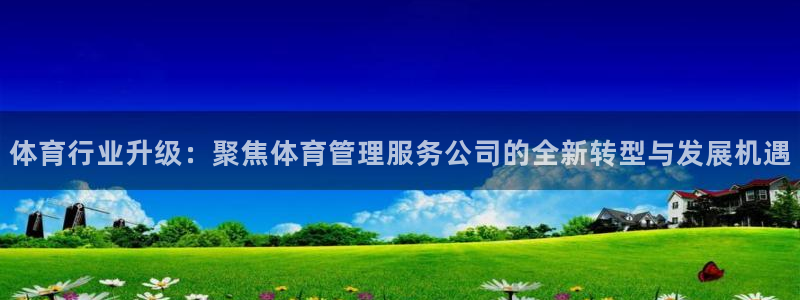 氵必一一厂一：体育行业升级：聚焦体育管理服务公司的全新转型与