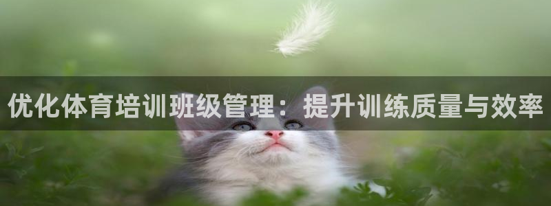 必一运动官网入口：优