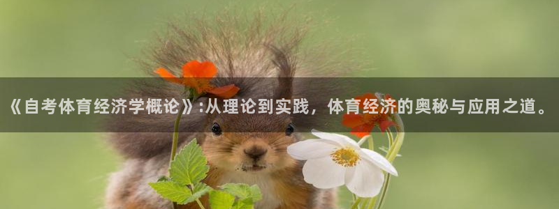 必一体育app平台下