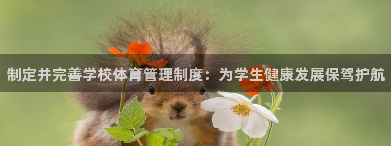 必一体育APP下载安