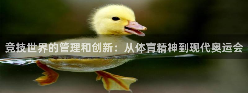 b体育必一运动网页版在线登录入口：竞技世界的管理和创新：从体