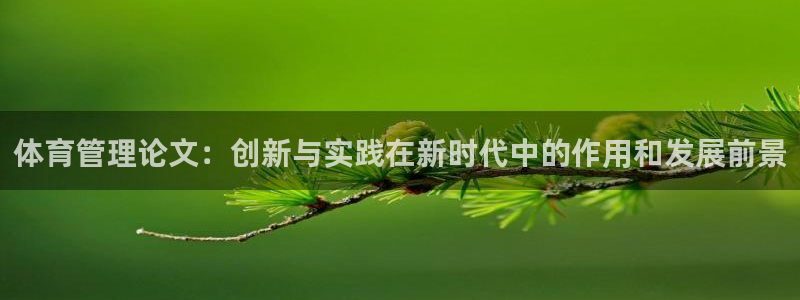 必一运动·(b-sports)官方网站：体育管理论文：创新与