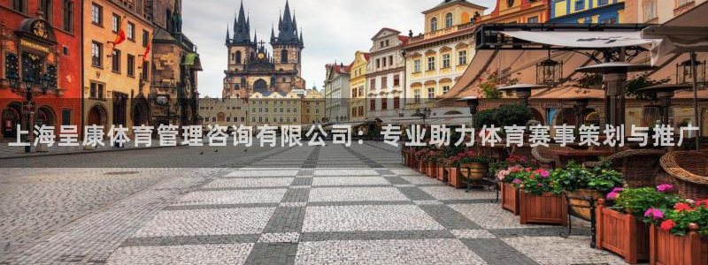 必一体育登录入口：上海呈康体育管理咨询有限公司：专业助力体育